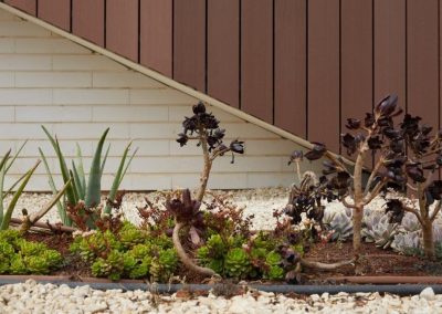 אדריכל יוסי קורי-ארסוף-צילום-ליאור אביטן-אינדן